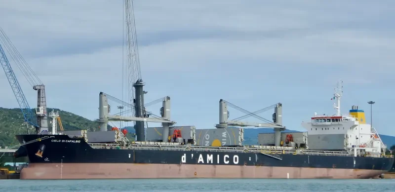 CIELO DI CAPALBIO Bulk Carrier IMO 9595151