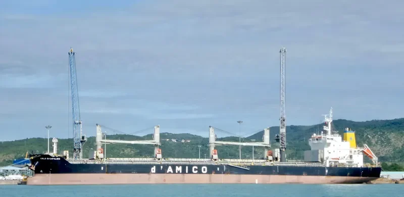 CIELO DI CAPALBIO Bulk Carrier IMO 9595151 photo 2