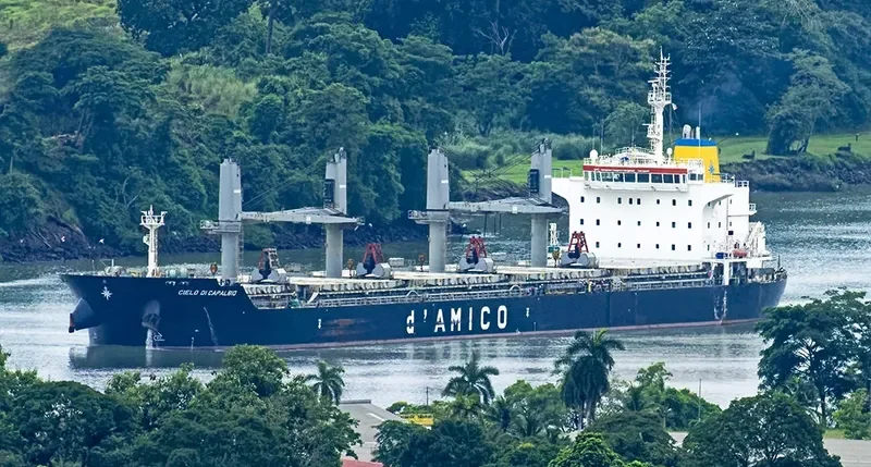 CIELO DI CAPALBIO Bulk Carrier IMO 9595151 photo 3