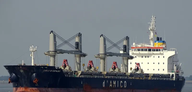 CIELO DI CAPALBIO Bulk Carrier IMO 9595151 photo 4