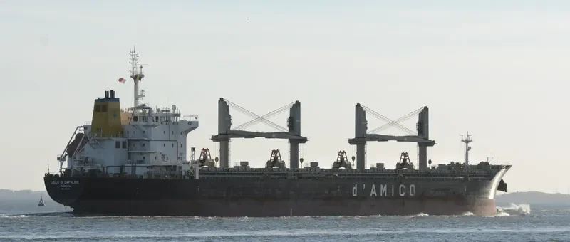 CIELO DI CAPALBIO Bulk Carrier IMO 9595151 photo 5