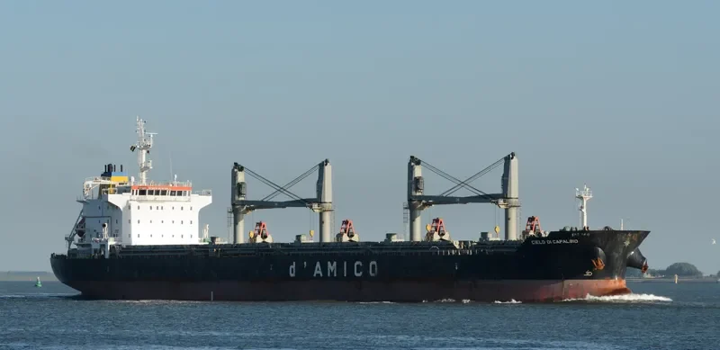 CIELO DI CAPALBIO Bulk Carrier IMO 9595151 photo 6