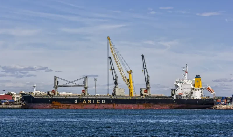 CIELO DI CAPALBIO Bulk Carrier IMO 9595151 photo 7
