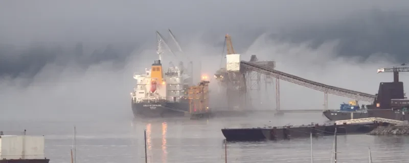 CIELO DI CAPALBIO Bulk Carrier IMO 9595151 photo 8