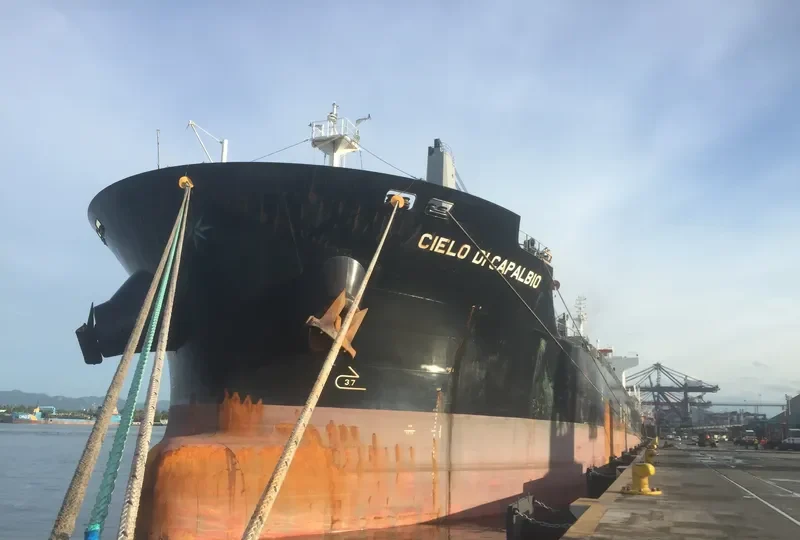 CIELO DI CAPALBIO Bulk Carrier IMO 9595151 photo 9
