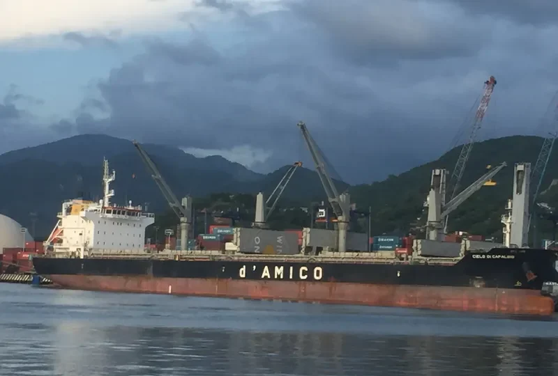CIELO DI CAPALBIO Bulk Carrier IMO 9595151 photo 10