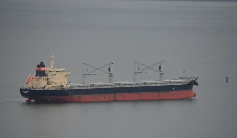 OCEAN FALCON Bulk Carrier IMO 9595163 photo 3