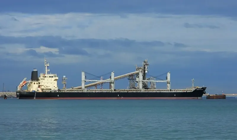 OCEAN FALCON Bulk Carrier IMO 9595163 photo 5