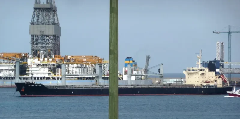 OCEAN FALCON Bulk Carrier IMO 9595163 photo 6