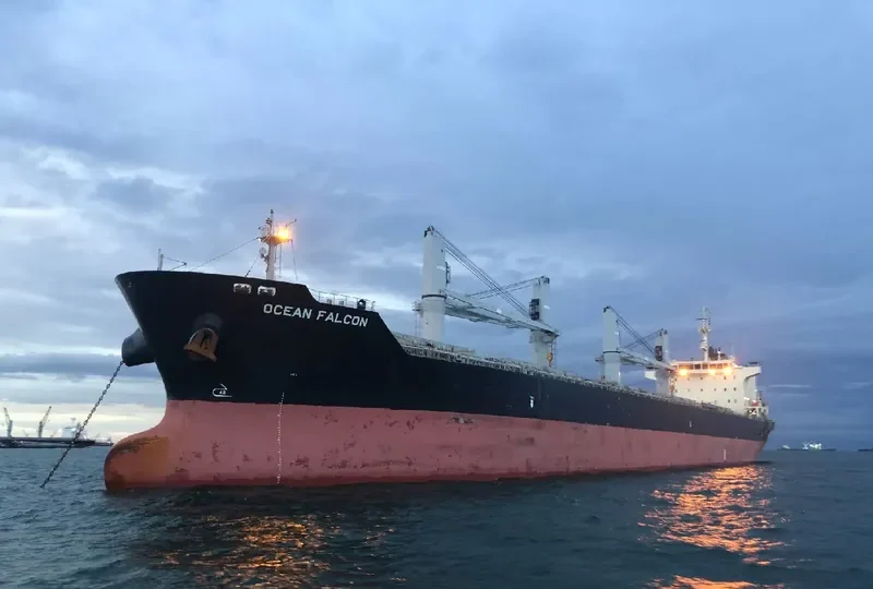 OCEAN FALCON Bulk Carrier IMO 9595163 photo 7