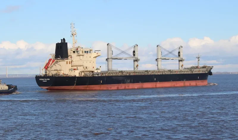 OCEAN FALCON Bulk Carrier IMO 9595163 photo 9