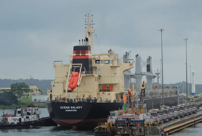 OCEAN GALAXY Bulk Carrier IMO 9595175 photo 2