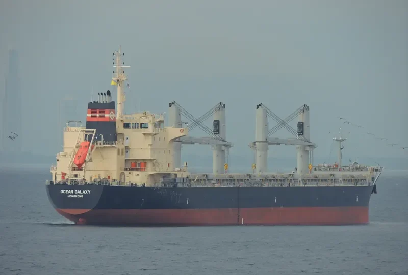 OCEAN GALAXY Bulk Carrier IMO 9595175 photo 4