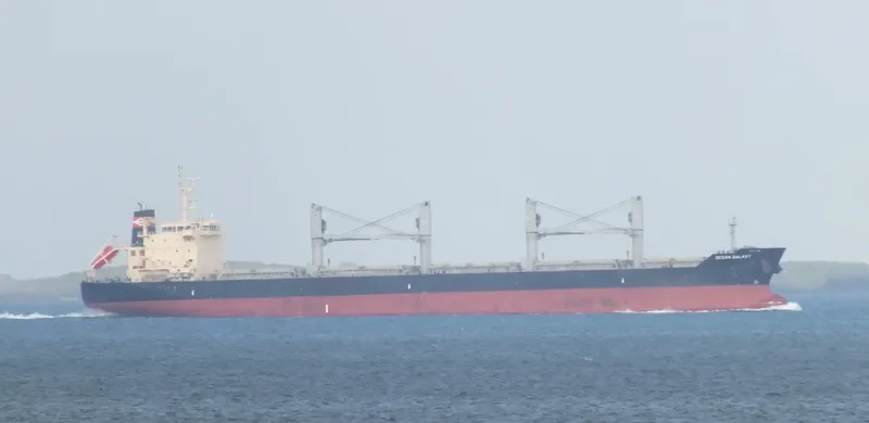 OCEAN GALAXY Bulk Carrier IMO 9595175 photo 7