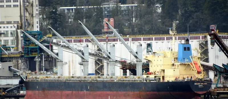 OCEAN GALAXY Bulk Carrier IMO 9595175 photo 9