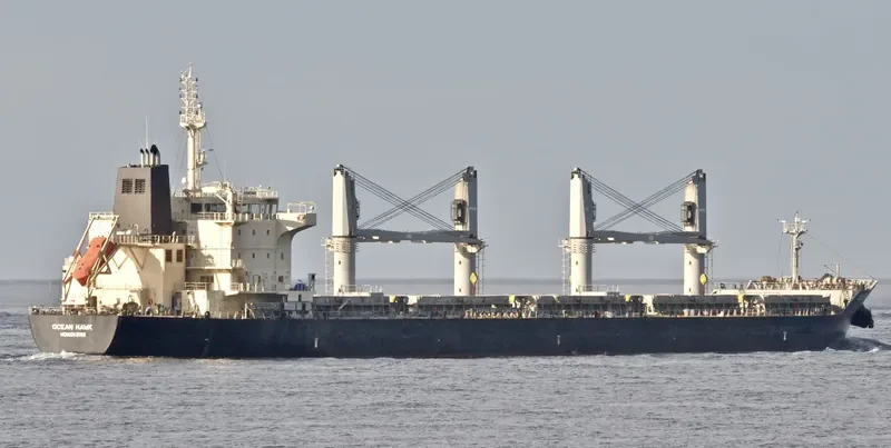 ODYSSEAS Bulk Carrier IMO 9595187