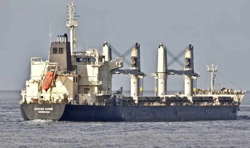 ODYSSEAS Bulk Carrier IMO 9595187 photo 2