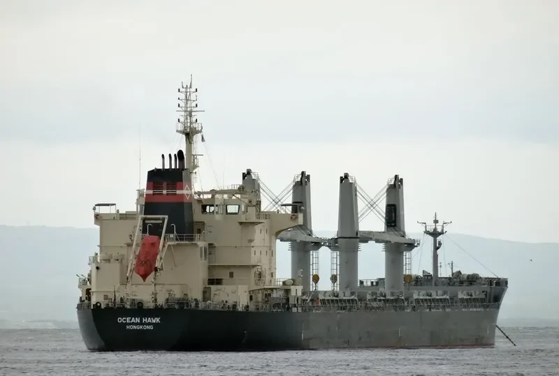ODYSSEAS Bulk Carrier IMO 9595187 photo 4