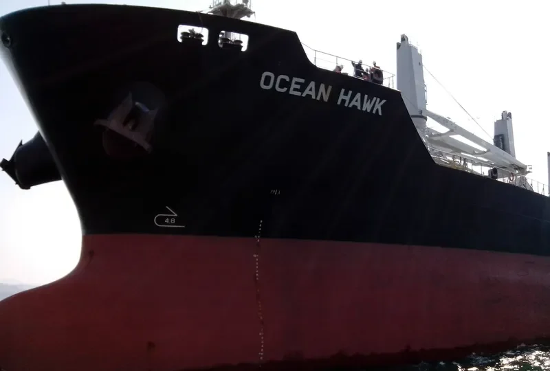 ODYSSEAS Bulk Carrier IMO 9595187 photo 6