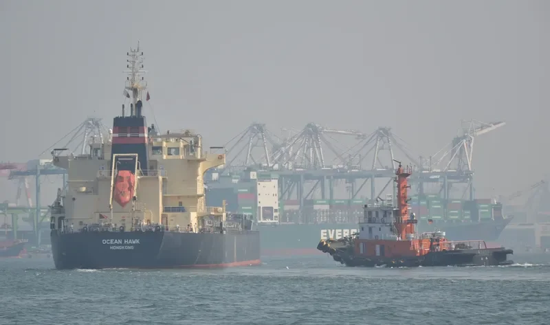 ODYSSEAS Bulk Carrier IMO 9595187 photo 7