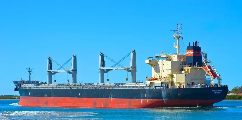 ODYSSEAS Bulk Carrier IMO 9595187 photo 8