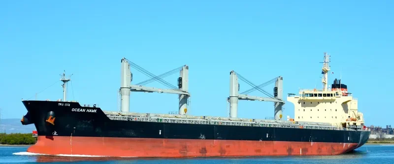ODYSSEAS Bulk Carrier IMO 9595187 photo 9