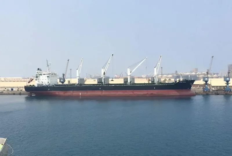 OMNIA Bulk Carrier IMO 9595204
