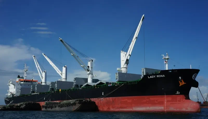 OMNIA Bulk Carrier IMO 9595204 photo 2
