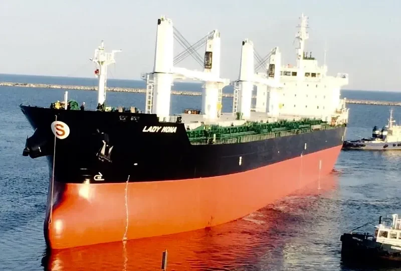 OMNIA Bulk Carrier IMO 9595204 photo 4