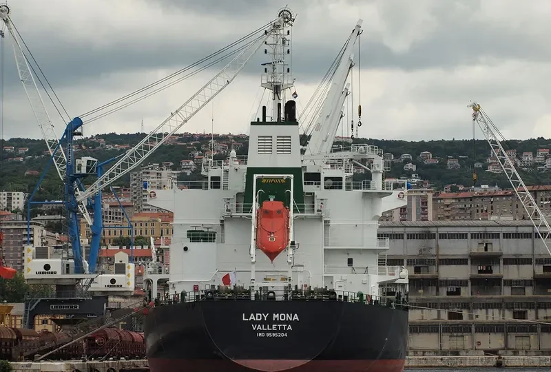 OMNIA Bulk Carrier IMO 9595204 photo 5