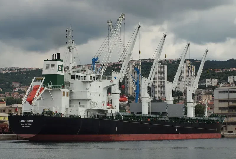 OMNIA Bulk Carrier IMO 9595204 photo 6
