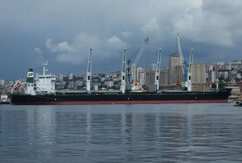 OMNIA Bulk Carrier IMO 9595204 photo 7