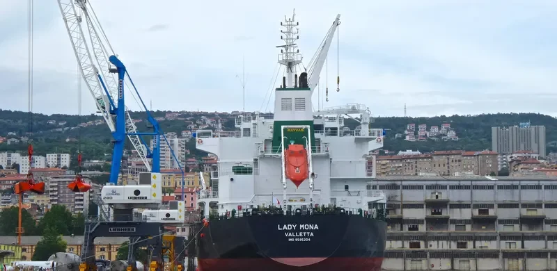 OMNIA Bulk Carrier IMO 9595204 photo 9