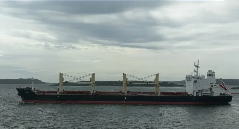 LAMBI Bulk Carrier IMO 9595254