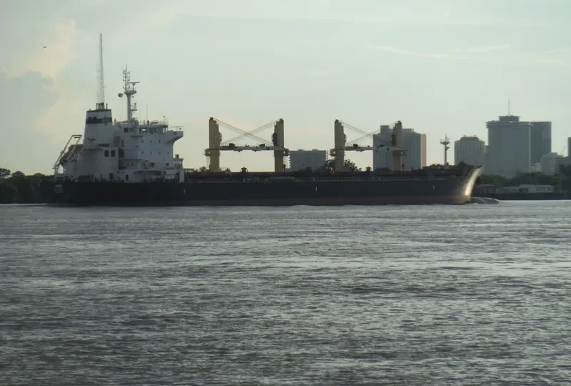 LAMBI Bulk Carrier IMO 9595254 photo 5