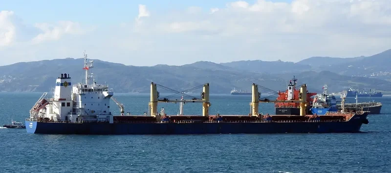 LAMBI Bulk Carrier IMO 9595254 photo 6