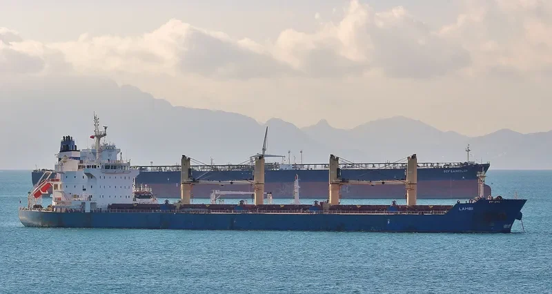LAMBI Bulk Carrier IMO 9595254 photo 8