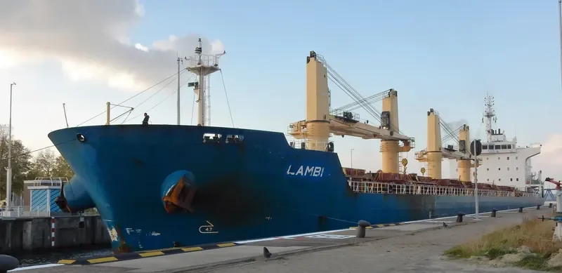 LAMBI Bulk Carrier IMO 9595254 photo 9