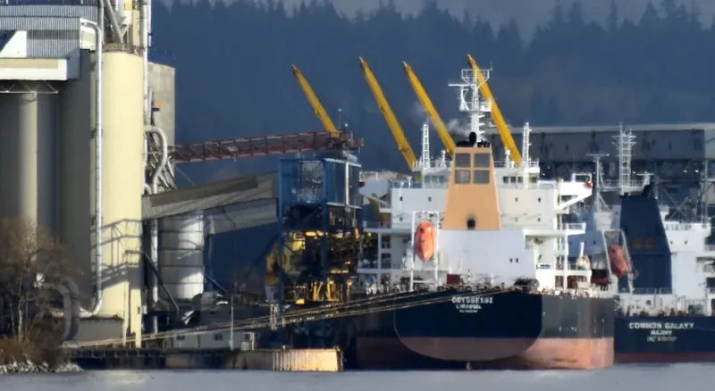 ODYSSEAS I Bulk Carrier IMO 9595266