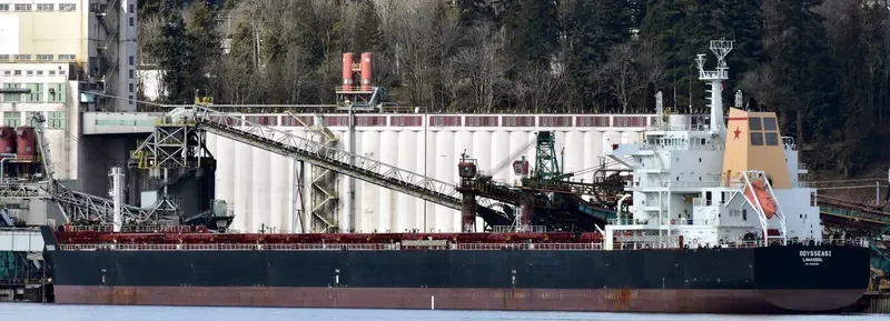 ODYSSEAS I Bulk Carrier IMO 9595266 photo 7