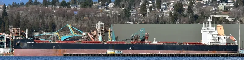 ODYSSEAS I Bulk Carrier IMO 9595266 photo 8
