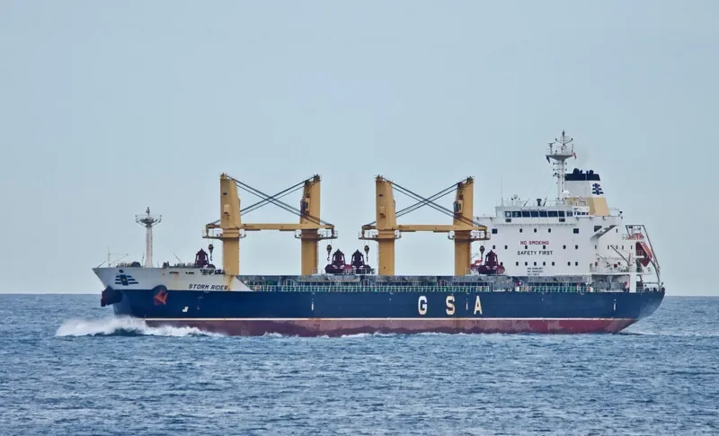STORM RIDER Bulk Carrier IMO 9595357 photo 3