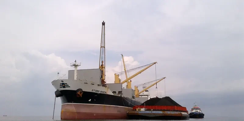 STORM RIDER Bulk Carrier IMO 9595357 photo 8