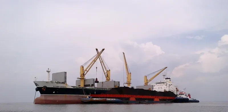 STORM RIDER Bulk Carrier IMO 9595357 photo 9