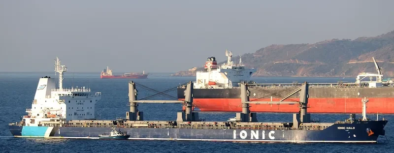 IONIC HALO Bulk Carrier IMO 9595369 photo 2
