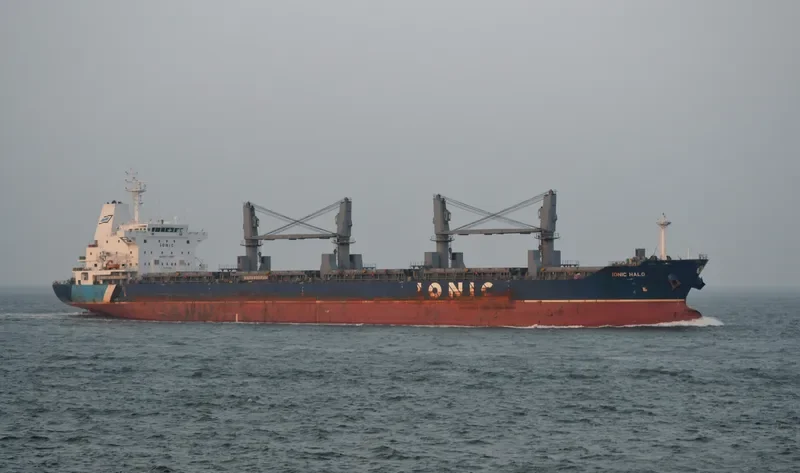IONIC HALO Bulk Carrier IMO 9595369 photo 3