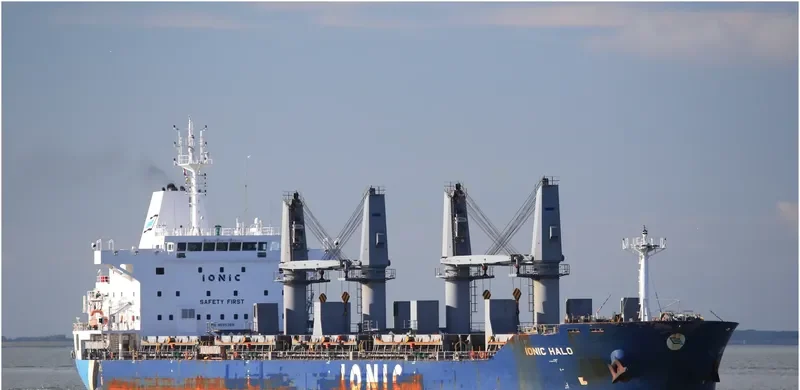 IONIC HALO Bulk Carrier IMO 9595369 photo 4