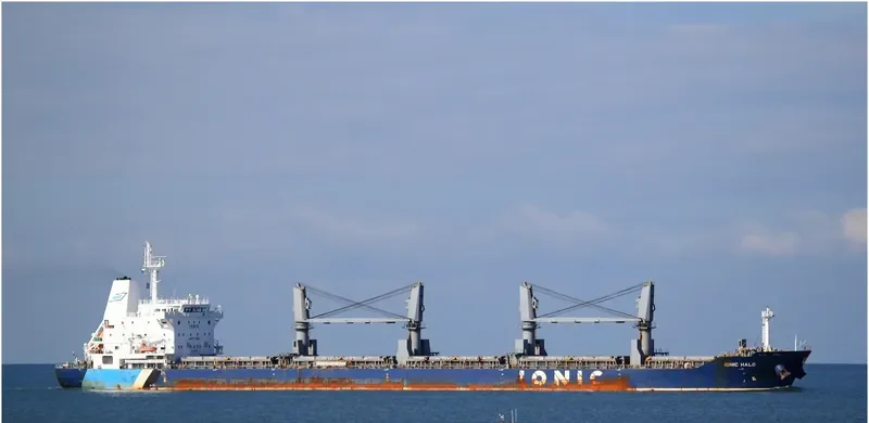 IONIC HALO Bulk Carrier IMO 9595369 photo 6