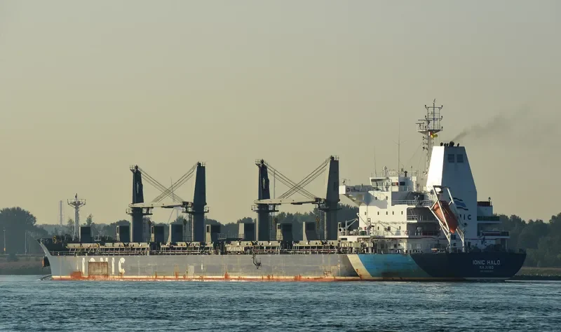 IONIC HALO Bulk Carrier IMO 9595369 photo 7
