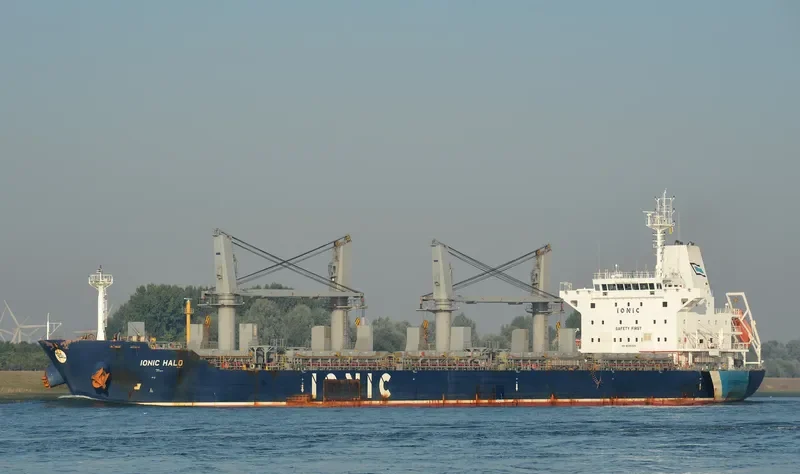IONIC HALO Bulk Carrier IMO 9595369 photo 8